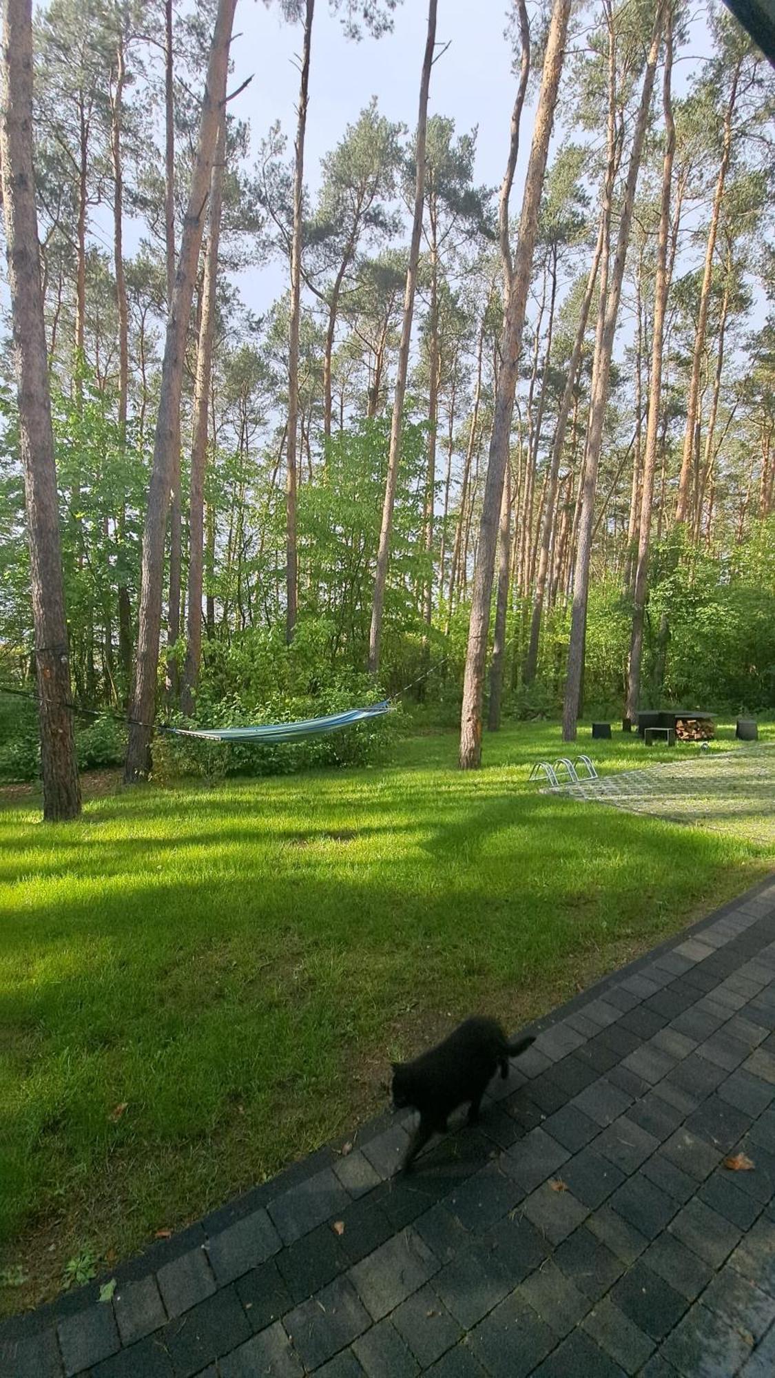 Karlowy